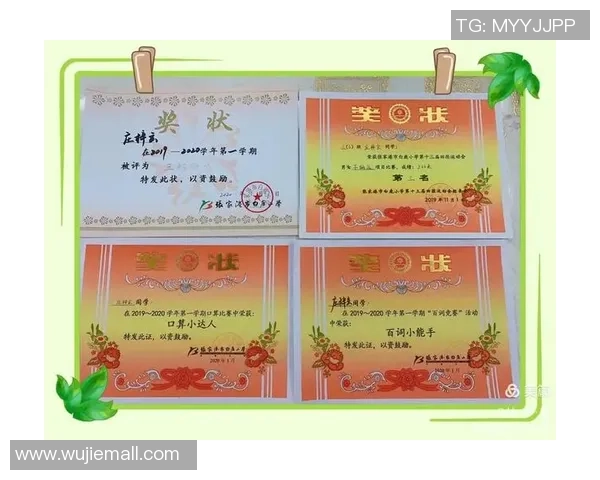 张昊的成长之路：从平凡少年到卓越领袖的奋斗历程与心路历程